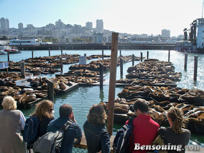 San Francisco 195