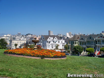 San Francisco 342
